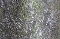 Beeston Regis fibreglass roof work